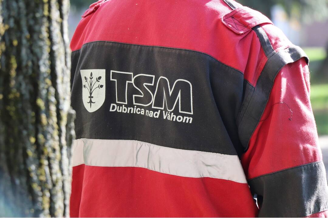 FOTO: Dubničania sa obávajú, že ich mesto sa mení na betónovú džungľu. Dubnica nad Váhom v týchto dňoch vyrubuje stromy, foto 1