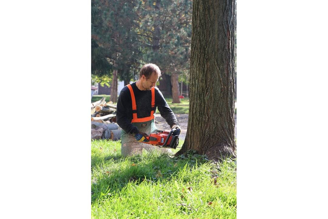 FOTO: Dubničania sa obávajú, že ich mesto sa mení na betónovú džungľu. Dubnica nad Váhom v týchto dňoch vyrubuje stromy, foto 2