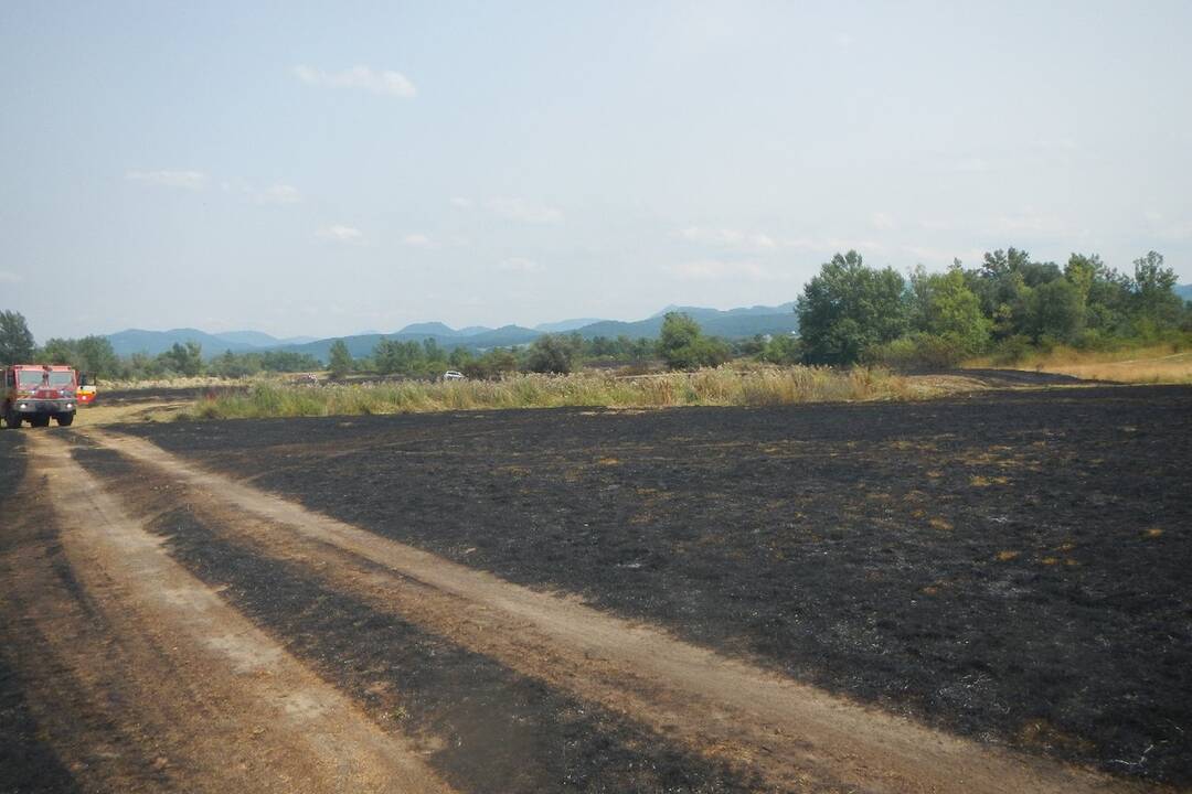 FOTO: Hasiči v Trenčianskom kraji vykonali v auguste celkovo 289 zásahov, foto 1