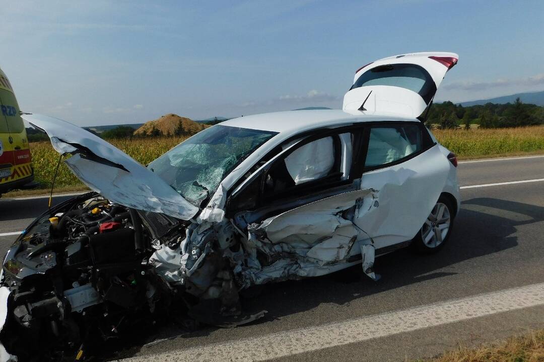 FOTO: Hasiči v Trenčianskom kraji vykonali v auguste celkovo 289 zásahov, foto 4