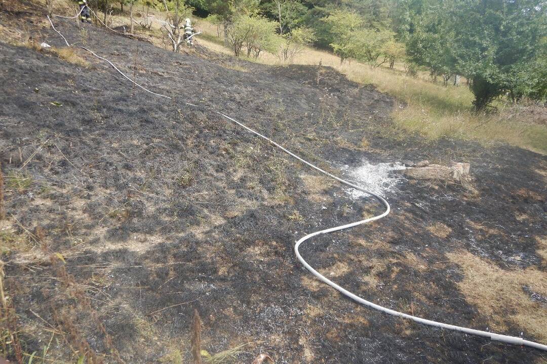 FOTO: Hasiči v Trenčianskom kraji vykonali v auguste celkovo 289 zásahov, foto 5