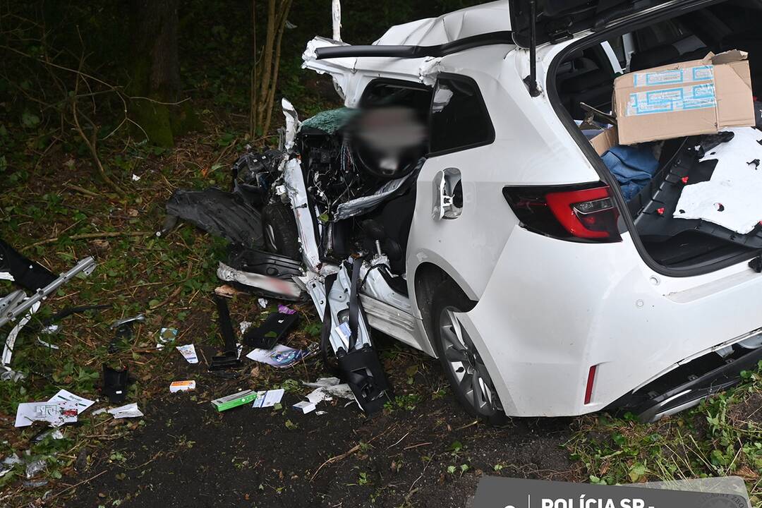 FOTO: Mladý muž bojuje po náraze do stromu o život v Martinskej nemocnici, foto 2