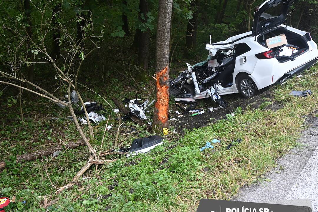 FOTO: Mladý muž bojuje po náraze do stromu o život v Martinskej nemocnici, foto 4