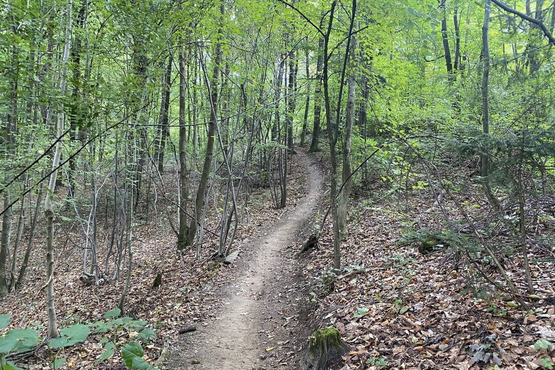 FOTO: Mesto začalo s výstavbou XC okruhu na Brezine, foto 1