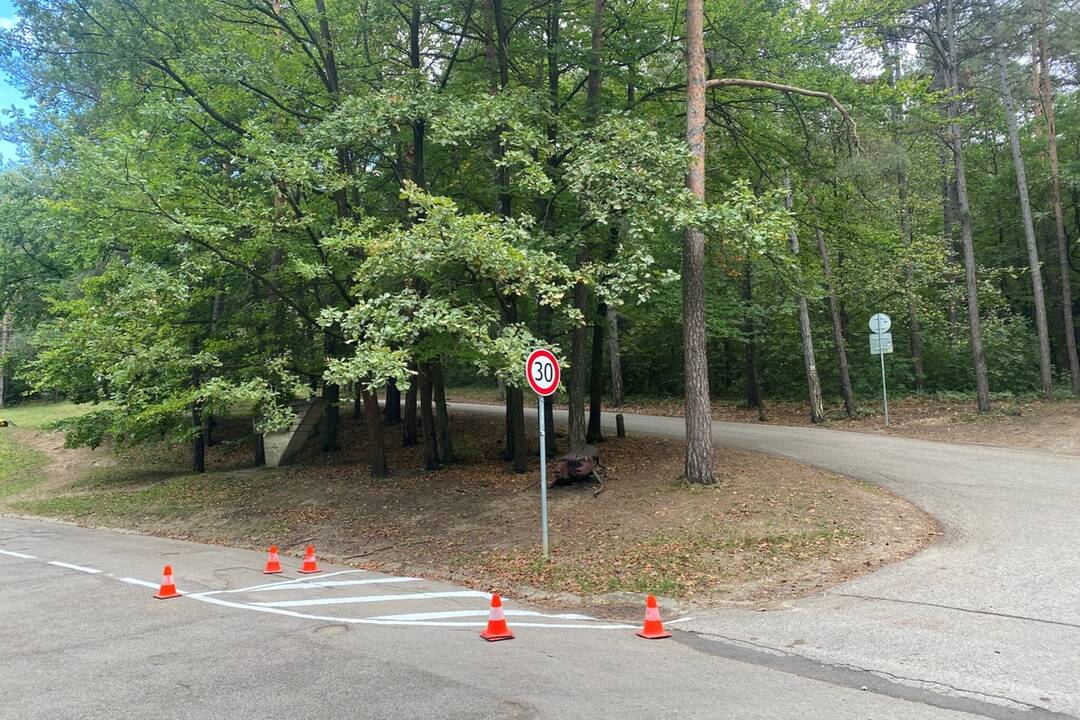 FOTO: Úprava parkovania v lesoparku Brezina, foto 2