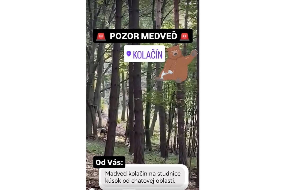 FOTO: Medveď utekal okolo chatovej oblasti v Kolačíne , foto 3