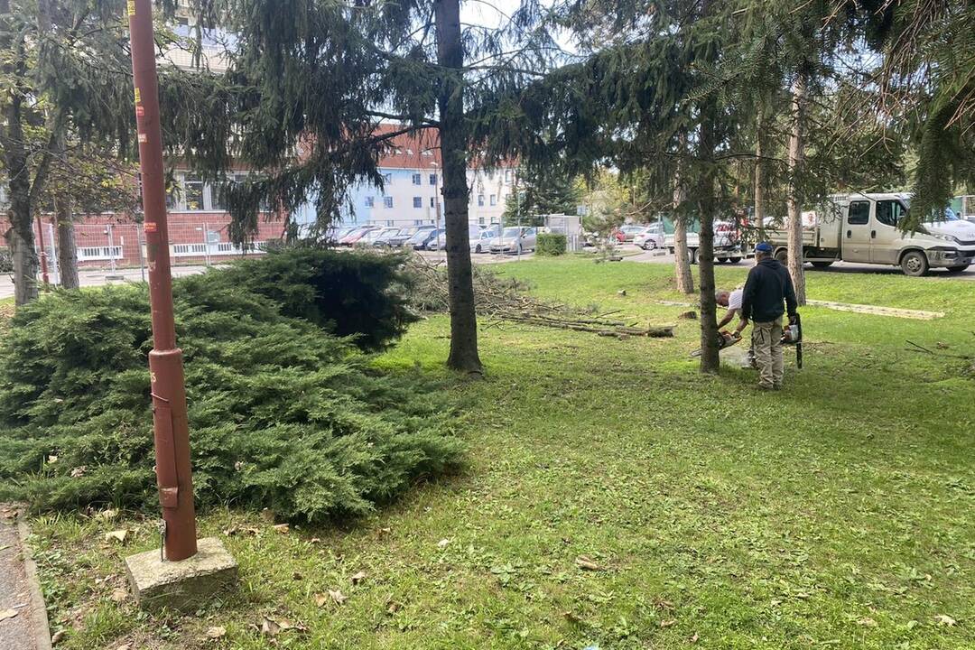 FOTO: Pacienti budú mať k dispozícií psychiatra aj psychológa , foto 4