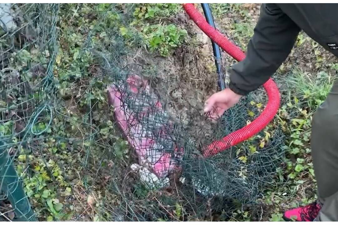 FOTO: Dôchodkyni sa zasekla noha v pletive, pomoci sa dočkala až o polnoci, foto 1