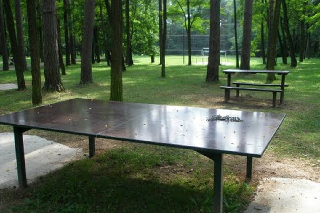 FOTO: Medveď sa pohyboval v blízkosti mesta Prievidza, foto 4