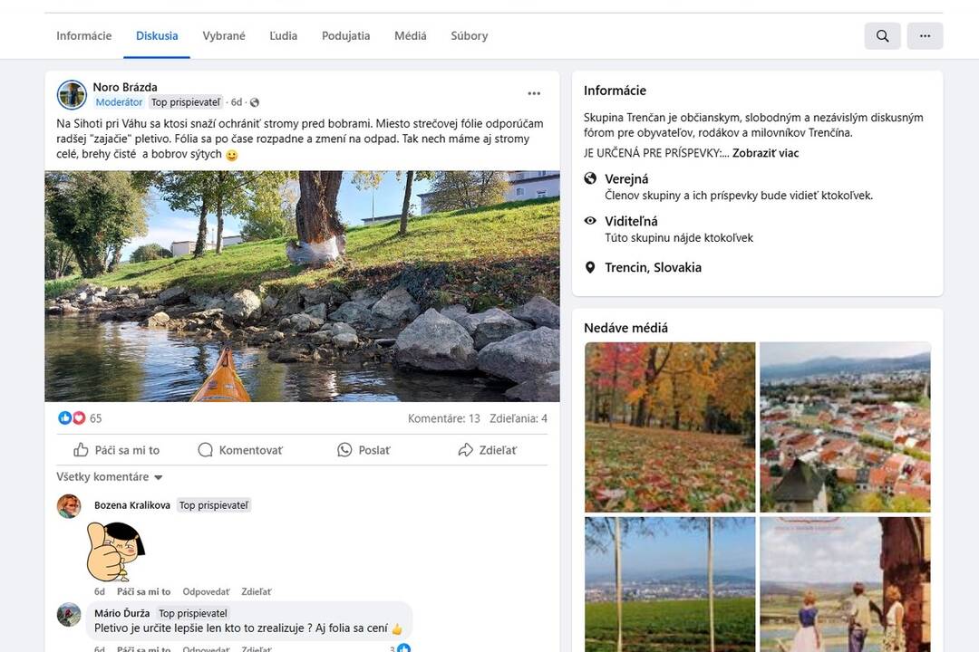 FOTO: Bobor ohryzoval stromy na sídlisku Sihoť, obyvatelia ich začali obaľovať fóliou , foto 6