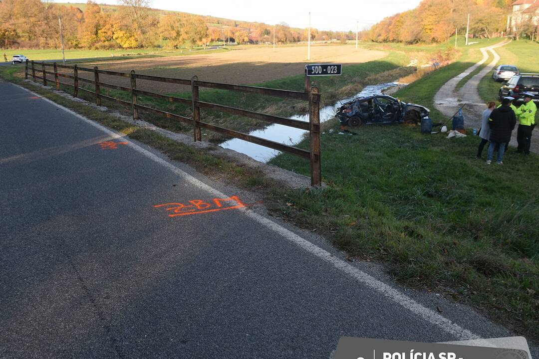 FOTO: Smrteľná dopravná nehoda pri Vrbovciach. Mladík zrazil 71-ročnú chodkyňu, ktorú náraz odhodil do potoka, foto 3