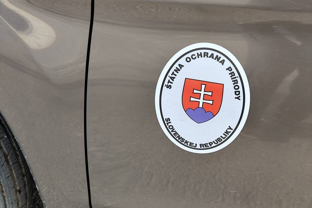 FOTO: Medveď po sebe zanechal stopy v mestskej časti Považskej Bystrice Orlové. Situáciu už rieši zásahový tím, foto 6