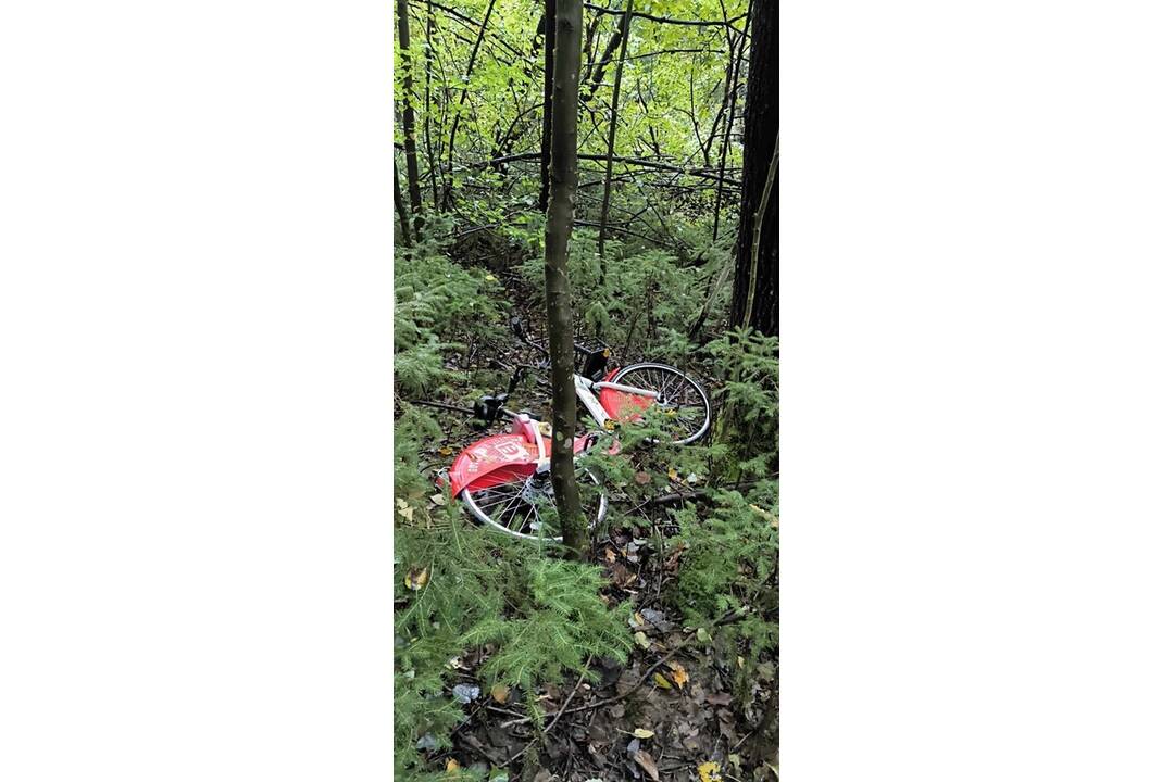 FOTO: Zdieľané bicykle v Považskej Bystrici idú na zimný spánok. Musia ich opraviť a pripraviť na jar, foto 2
