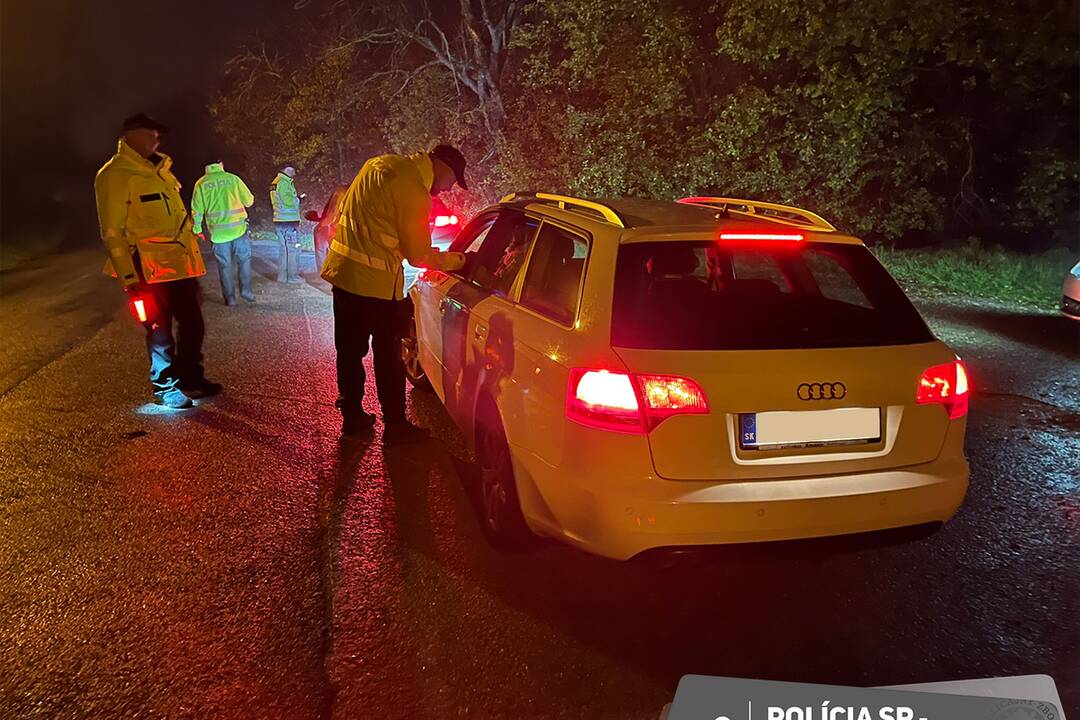 FOTO: Policajné kontroly v Trenčianskom kraji odhalili šoférov pod vplyvom alkoholu, foto 7