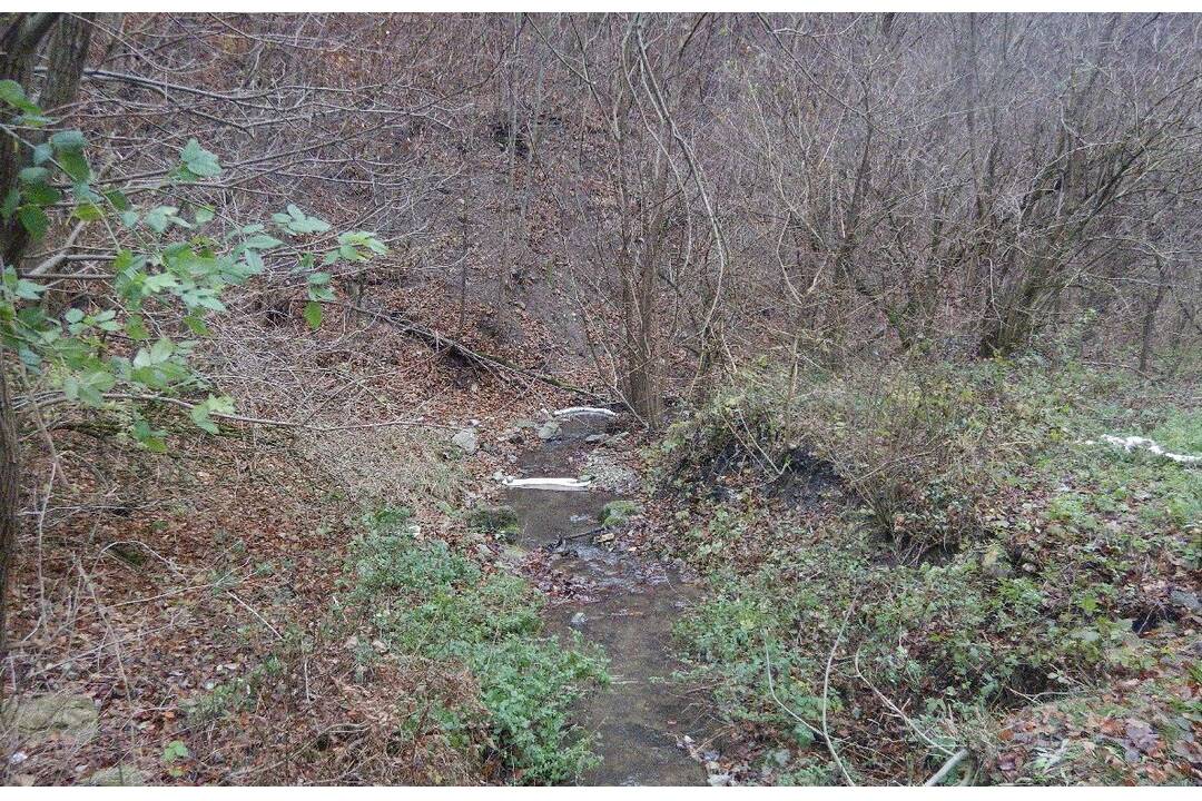 FOTO: Hrozivo vyzerajúca dopravná nehoda v Zliechove. Auto havarovalo a skončilo v potoku, foto 5