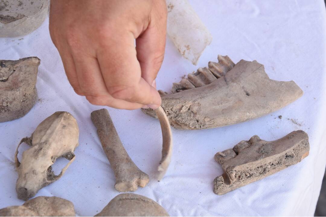 FOTO: Počas obnovy pešej zóny v Trenčíne našli archeológovia historické artefakty, foto 5