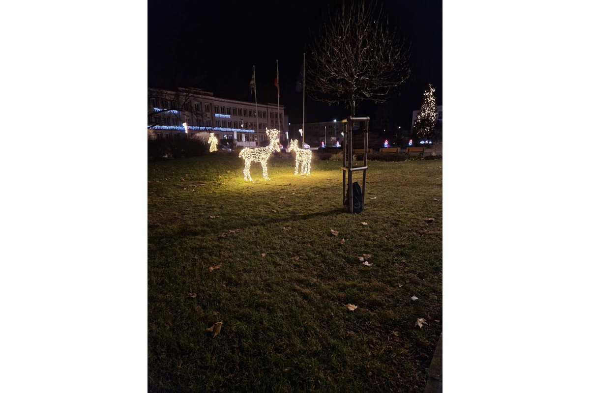 FOTO: Poškodená vianočná výzdoba v Partizánskom. Sobík zo sobej rodinky skončil zničený, foto 3