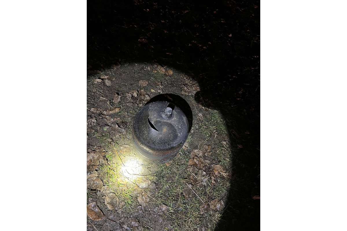 FOTO: Požiar jednoduchej stavby v obci Chvojnica. Pomáhali hasiči z Nitrianskeho Pravna, foto 3