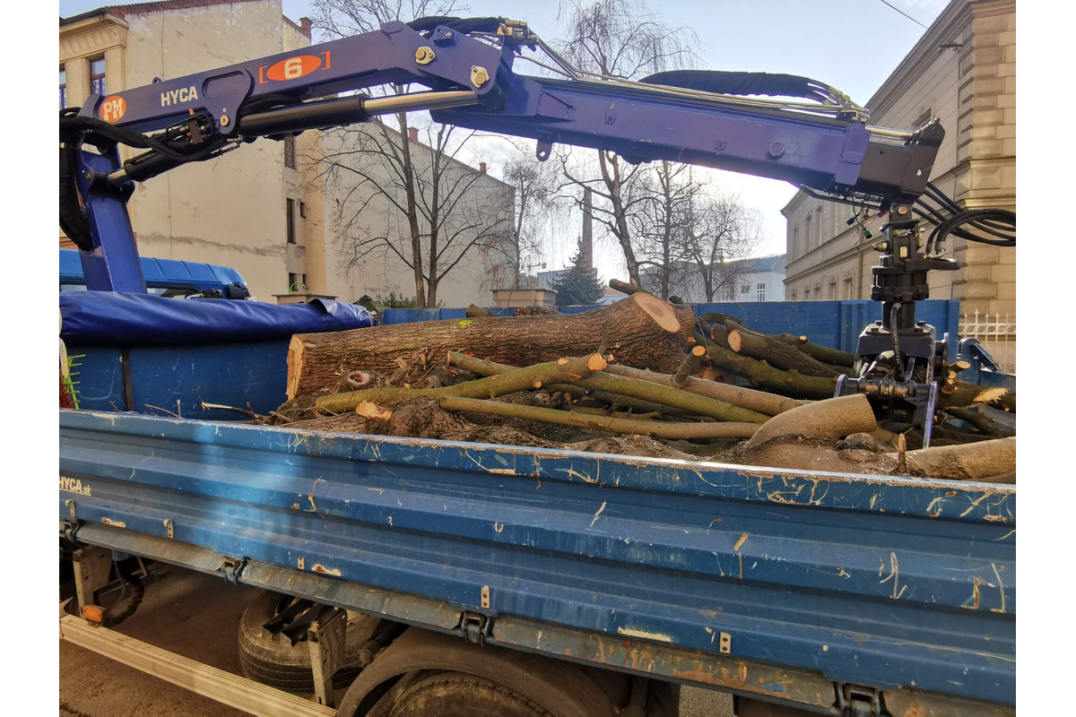 FOTO: Choré javory na Ulici 1. mája v Trenčíne museli odstrániť. Boli napadnuté hubou, ktorá spôsobuje rakovinu kôry, foto 3