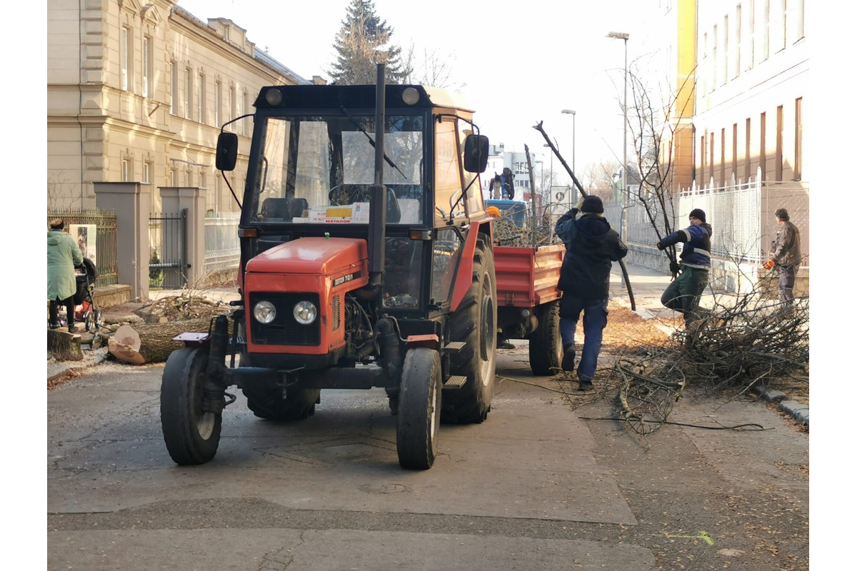FOTO: Trenčanov trápi výrub stromov na známej ulici v meste, foto 3