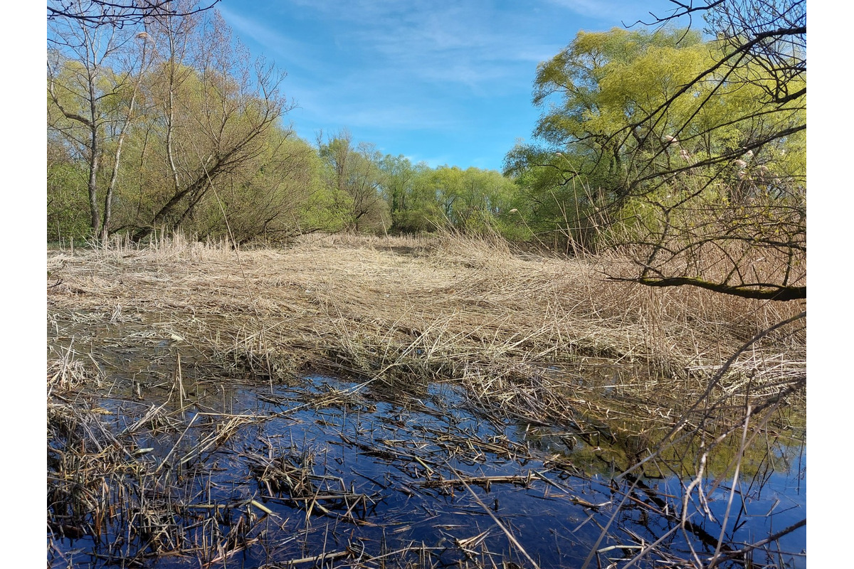 FOTO: Nenechajte si ujsť exkurziu do výnimočného prírodného územia uprostred mesta Trenčín, foto 1