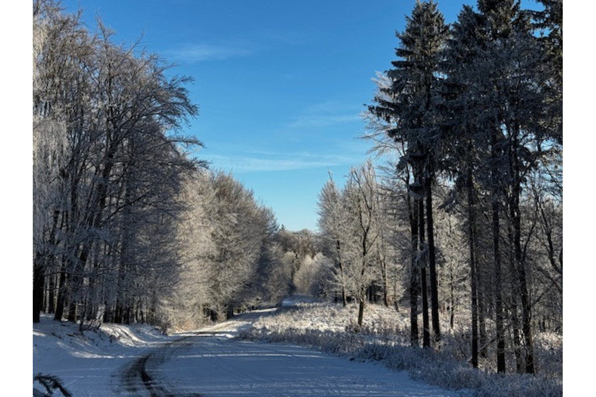 FOTO: Inovecká chata hľadá nového chatára, foto 4