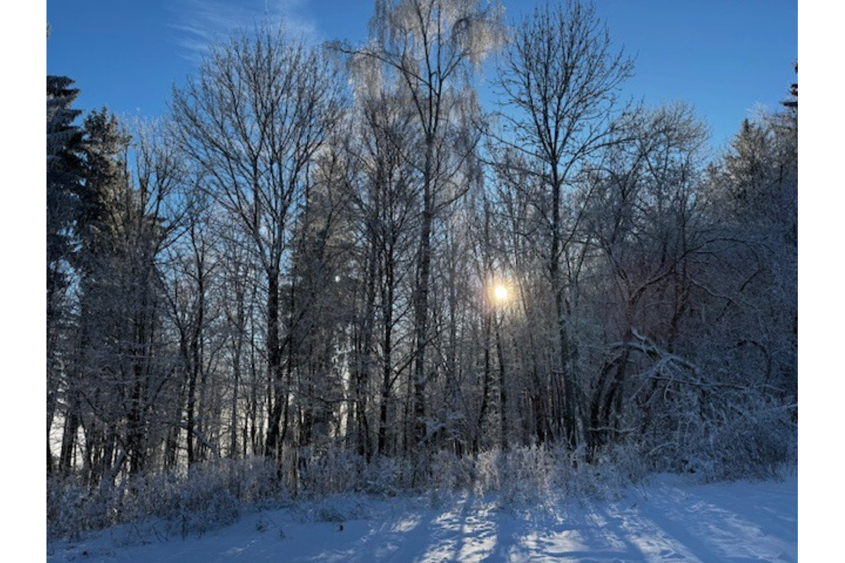 FOTO: Inovecká chata hľadá nového chatára, foto 5