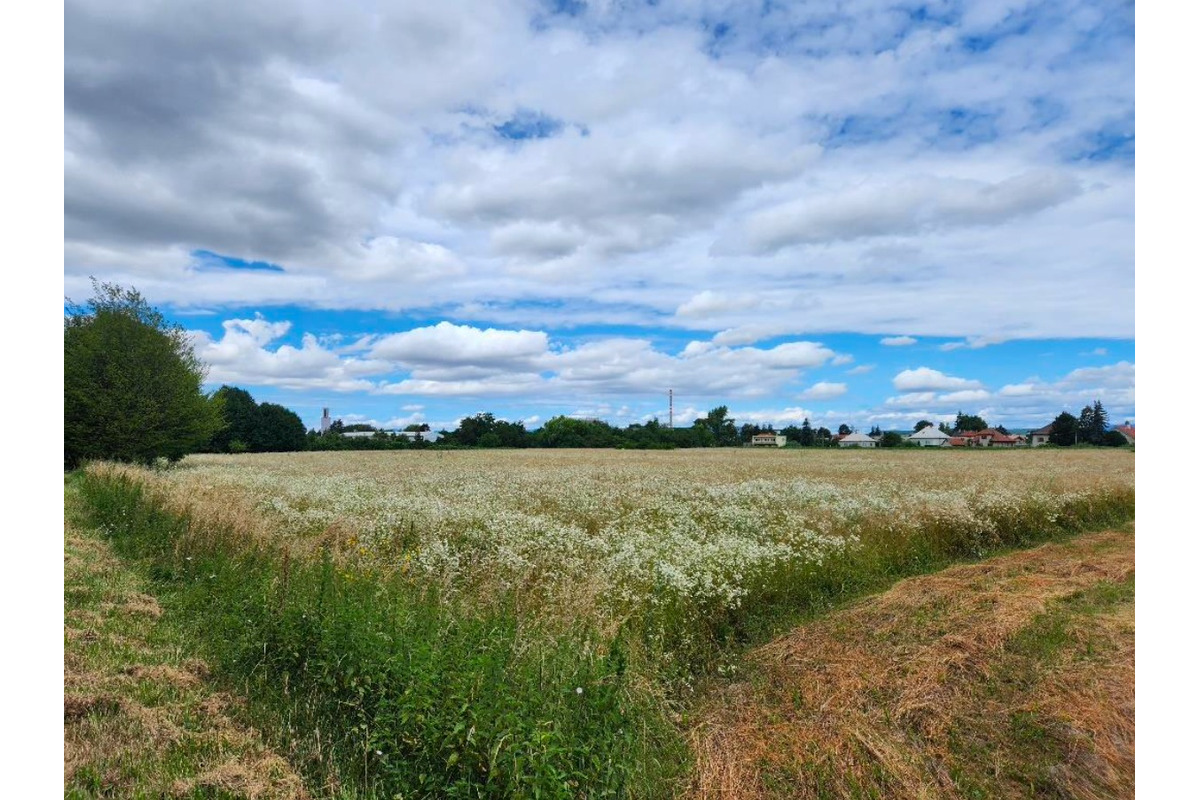 FOTO: Partizánske čaká nový 200-bytový komplex. Súčasťou bude aj supermarket a parkovací dom, foto 2