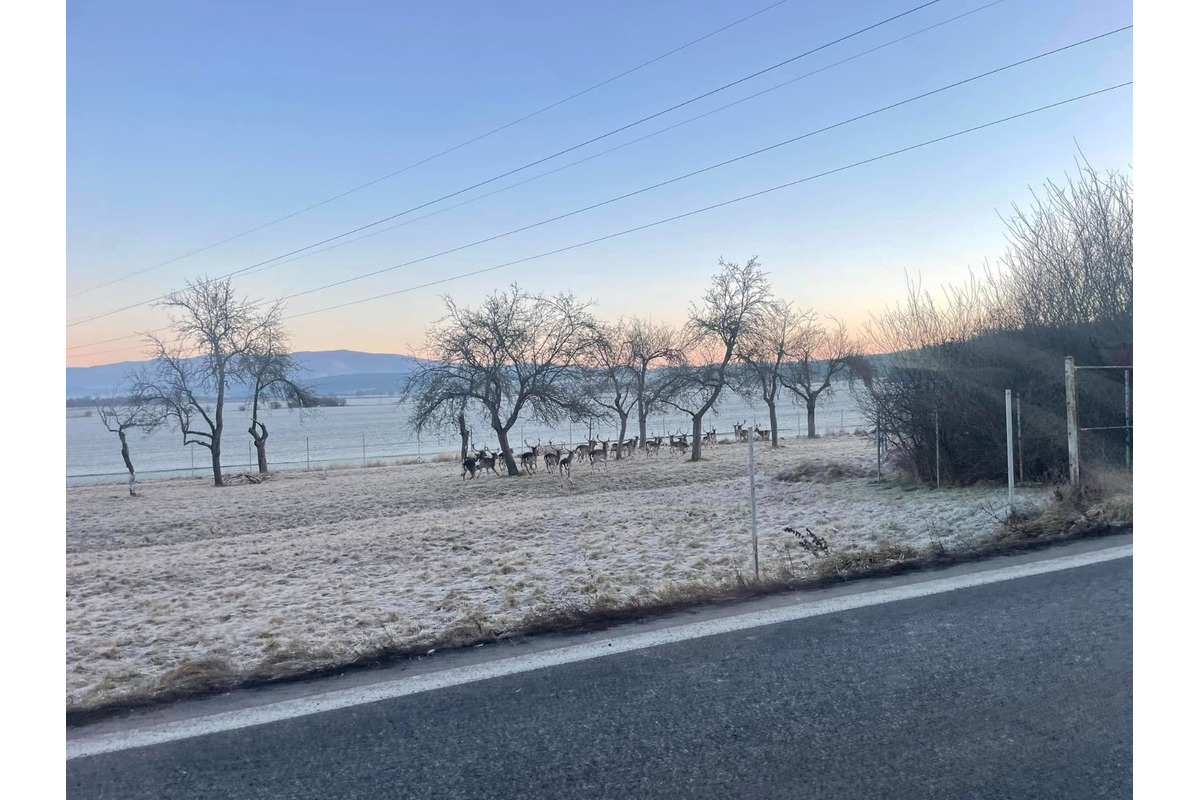 FOTO: Vodiči musia byť obozretní na ceste pri Majeri v Prievidzskom okrese, foto 1