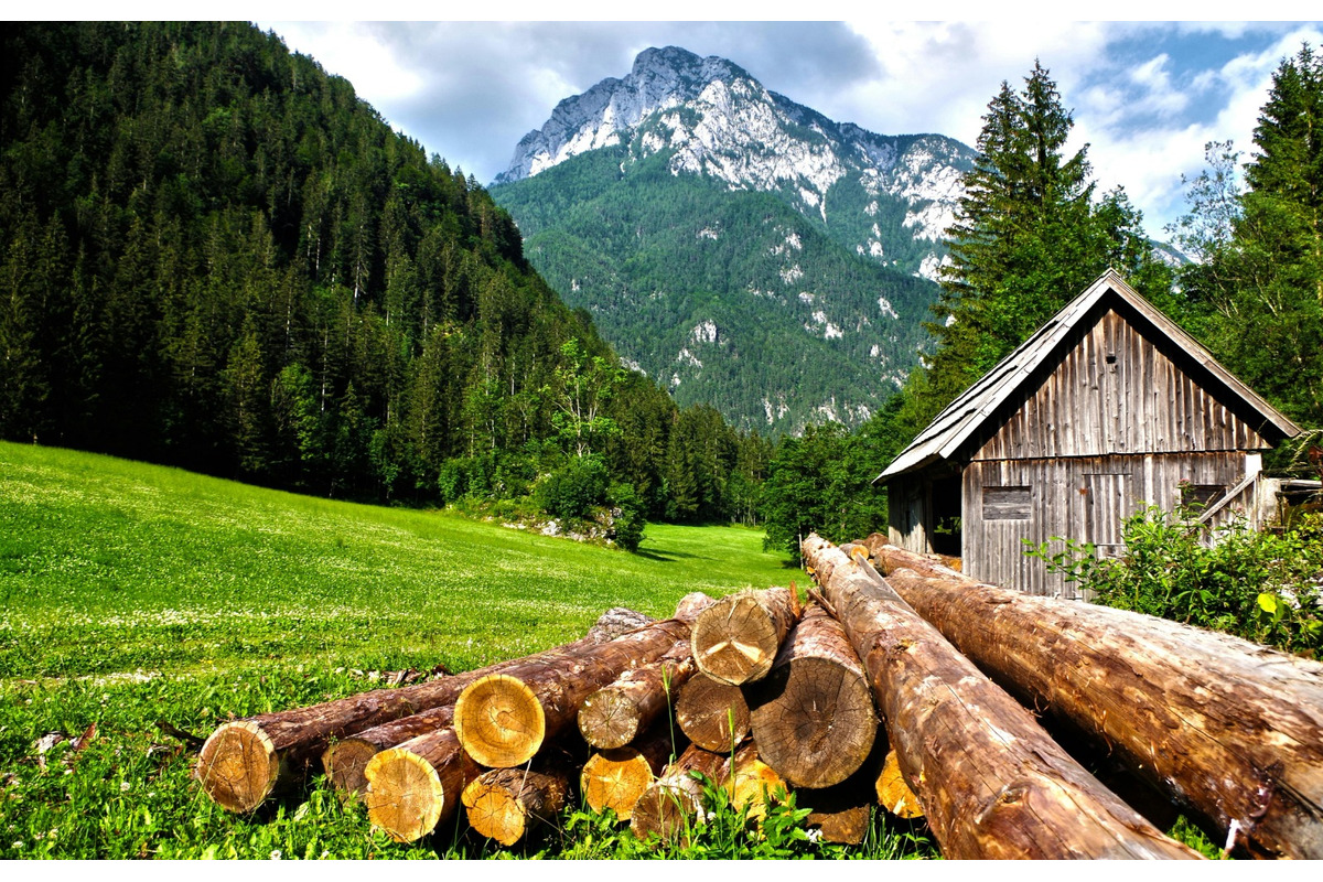 FOTO: Muž chce urobiť životnú zmenu a začať pracovať miesto kancelárie na horskej chate, foto 4