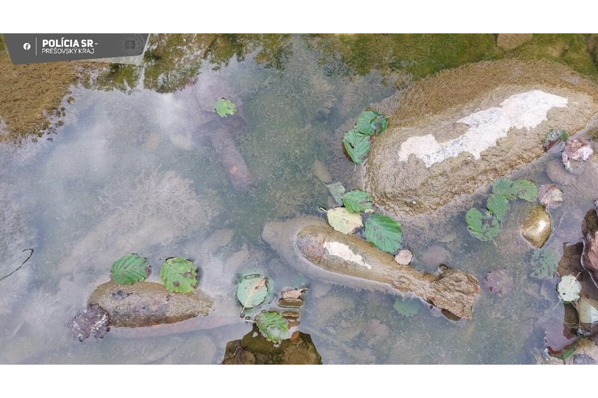 FOTO: Muž našiel pri Trenčíne nevybuchnutú trieštivú mínu, foto 3