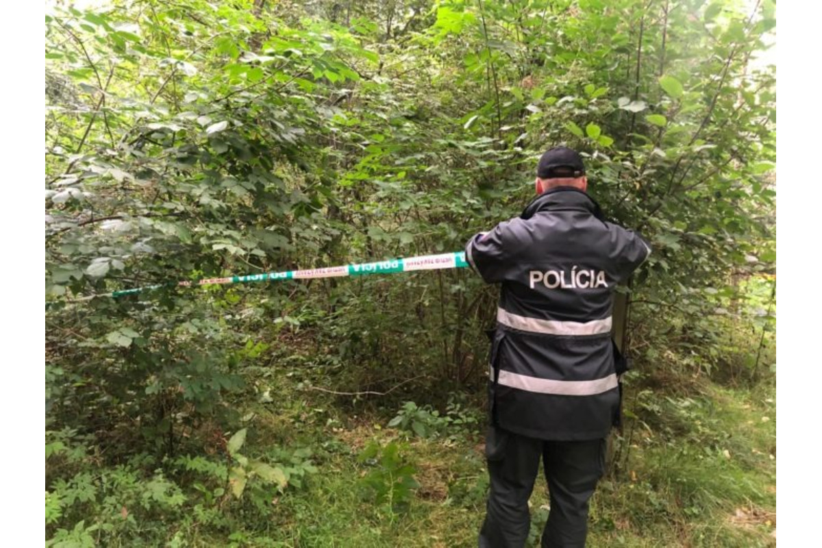 FOTO: Muž našiel pri Trenčíne nevybuchnutú trieštivú mínu, foto 4