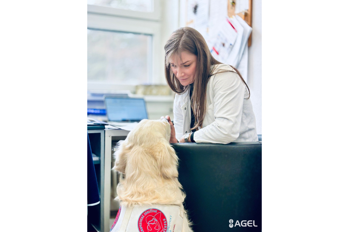 FOTO: Psia láska ako liek pre pacientov. Handlovská nemocnica prináša do terapie štvornohých odborníkov, foto 1