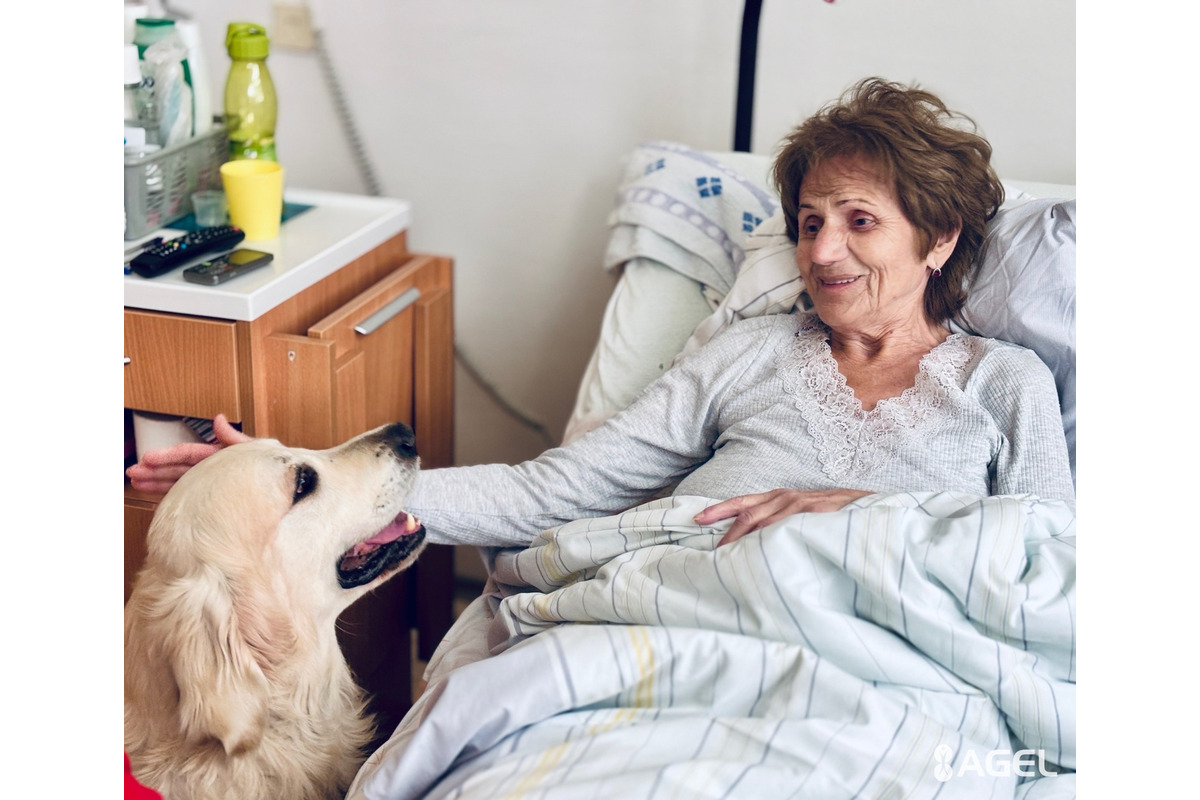 FOTO: Psia láska ako liek pre pacientov. Handlovská nemocnica prináša do terapie štvornohých odborníkov, foto 2