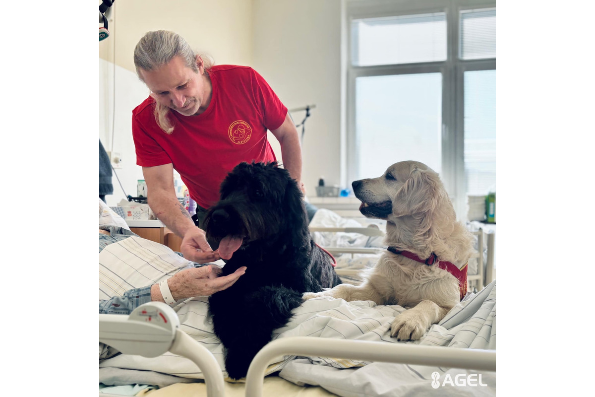 FOTO: Psia láska ako liek pre pacientov. Handlovská nemocnica prináša do terapie štvornohých odborníkov, foto 3
