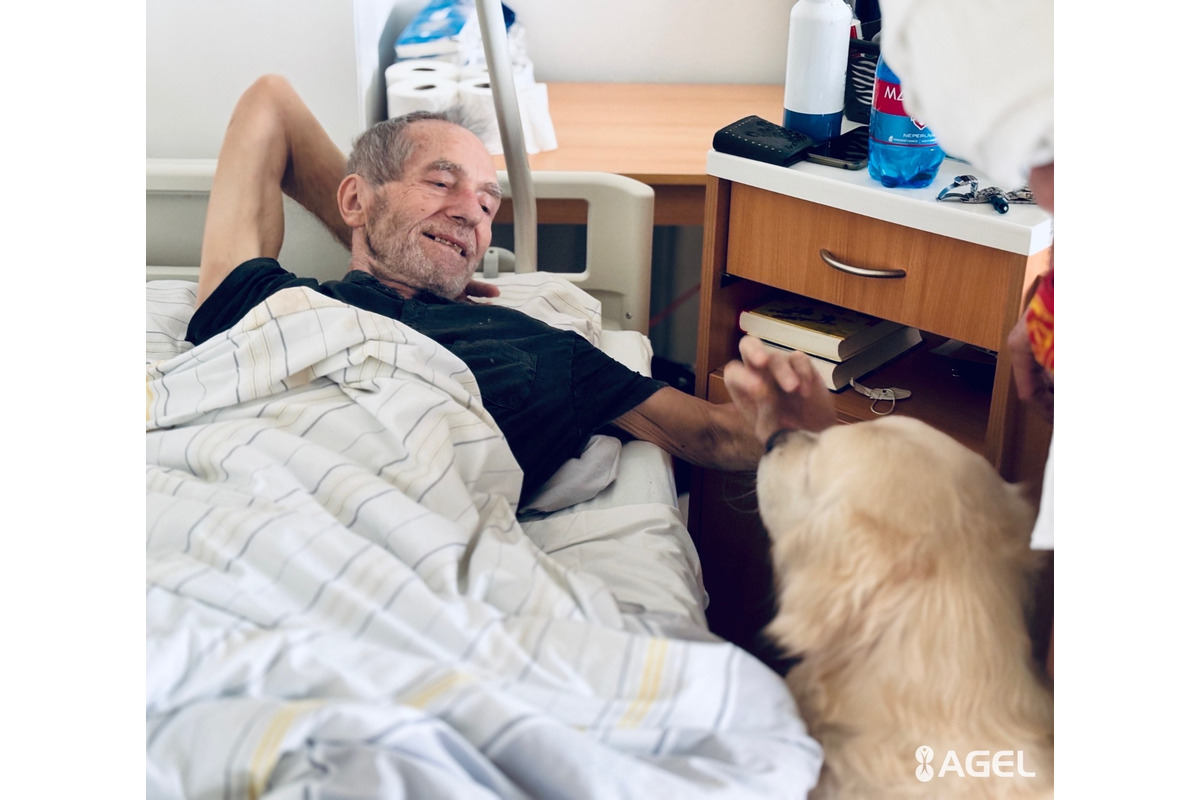 FOTO: Psia láska ako liek pre pacientov. Handlovská nemocnica prináša do terapie štvornohých odborníkov, foto 4