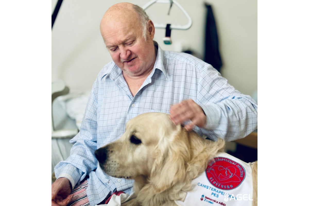 FOTO: Psia láska ako liek pre pacientov. Handlovská nemocnica prináša do terapie štvornohých odborníkov, foto 5