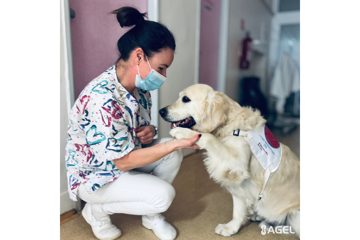 FOTO: Psia láska ako liek pre pacientov. Handlovská nemocnica prináša do terapie štvornohých odborníkov, foto 8