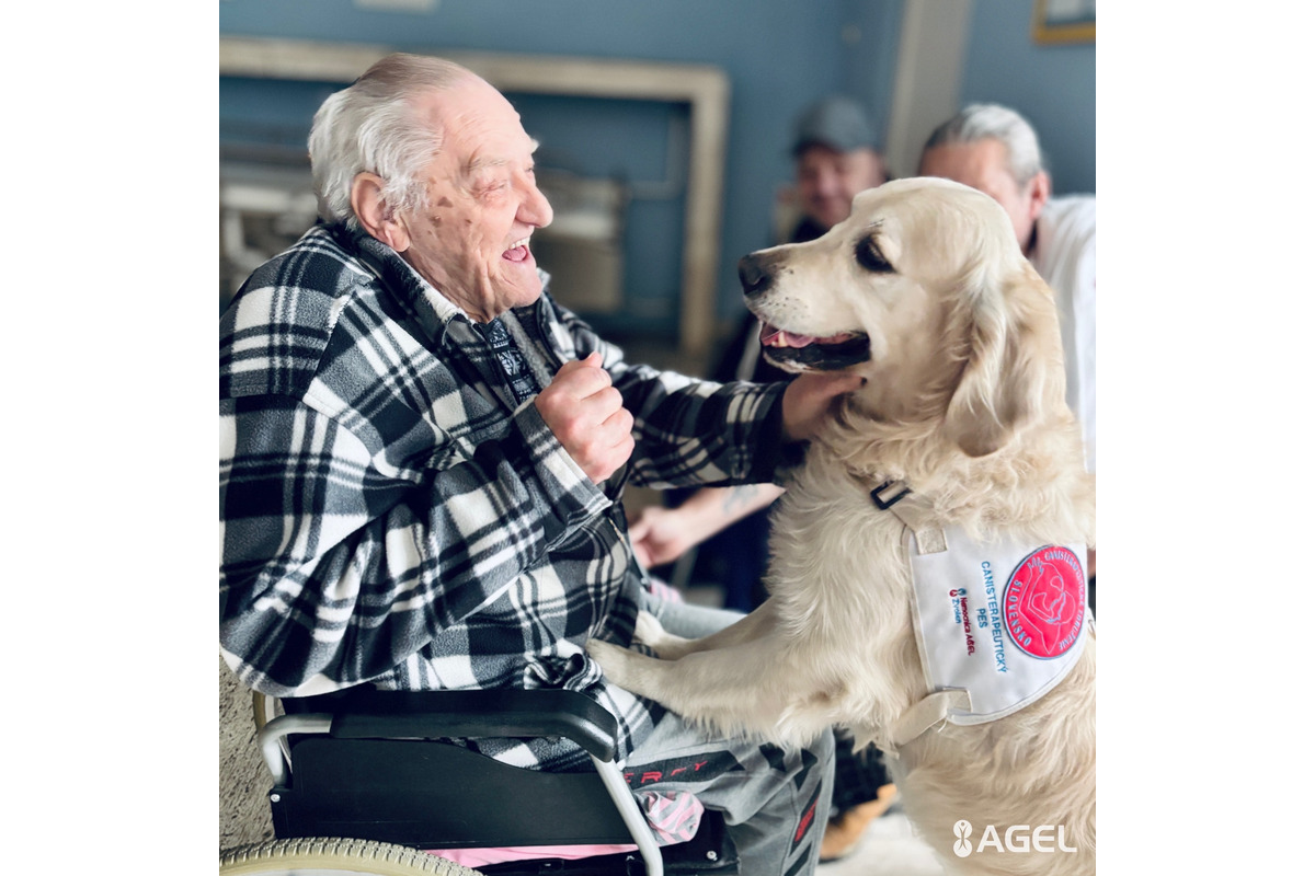 FOTO: Psia láska ako liek pre pacientov. Handlovská nemocnica prináša do terapie štvornohých odborníkov, foto 10