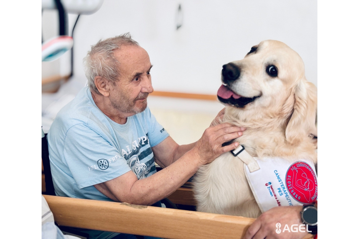 FOTO: Psia láska ako liek pre pacientov. Handlovská nemocnica prináša do terapie štvornohých odborníkov, foto 9
