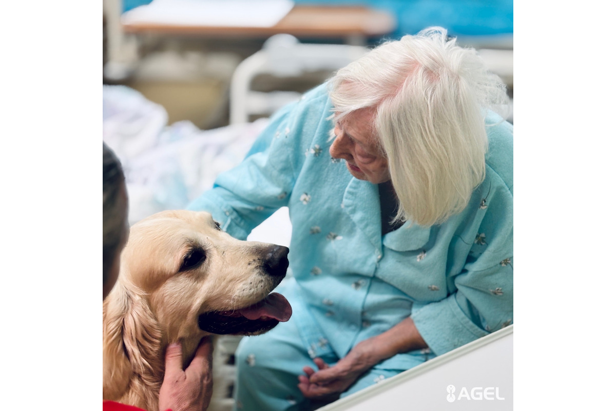 FOTO: Psia láska ako liek pre pacientov. Handlovská nemocnica prináša do terapie štvornohých odborníkov, foto 11