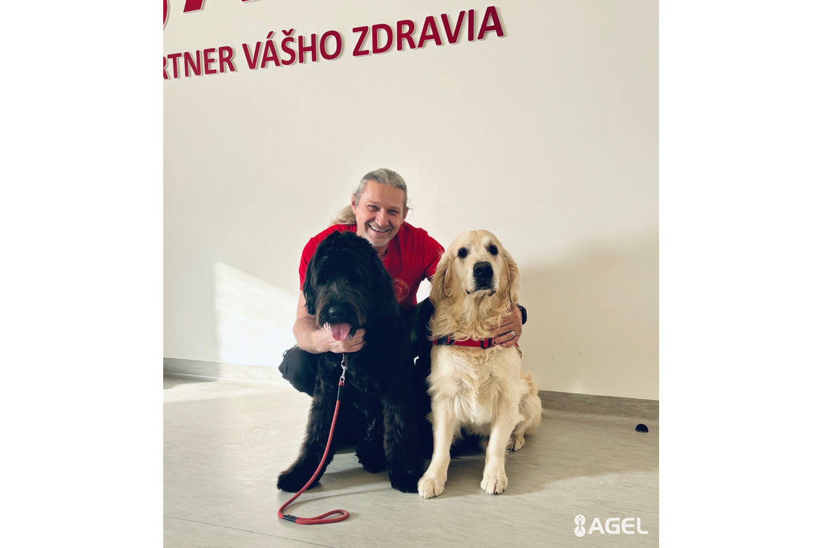 FOTO: Psia láska ako liek pre pacientov. Handlovská nemocnica prináša do terapie štvornohých odborníkov, foto 12