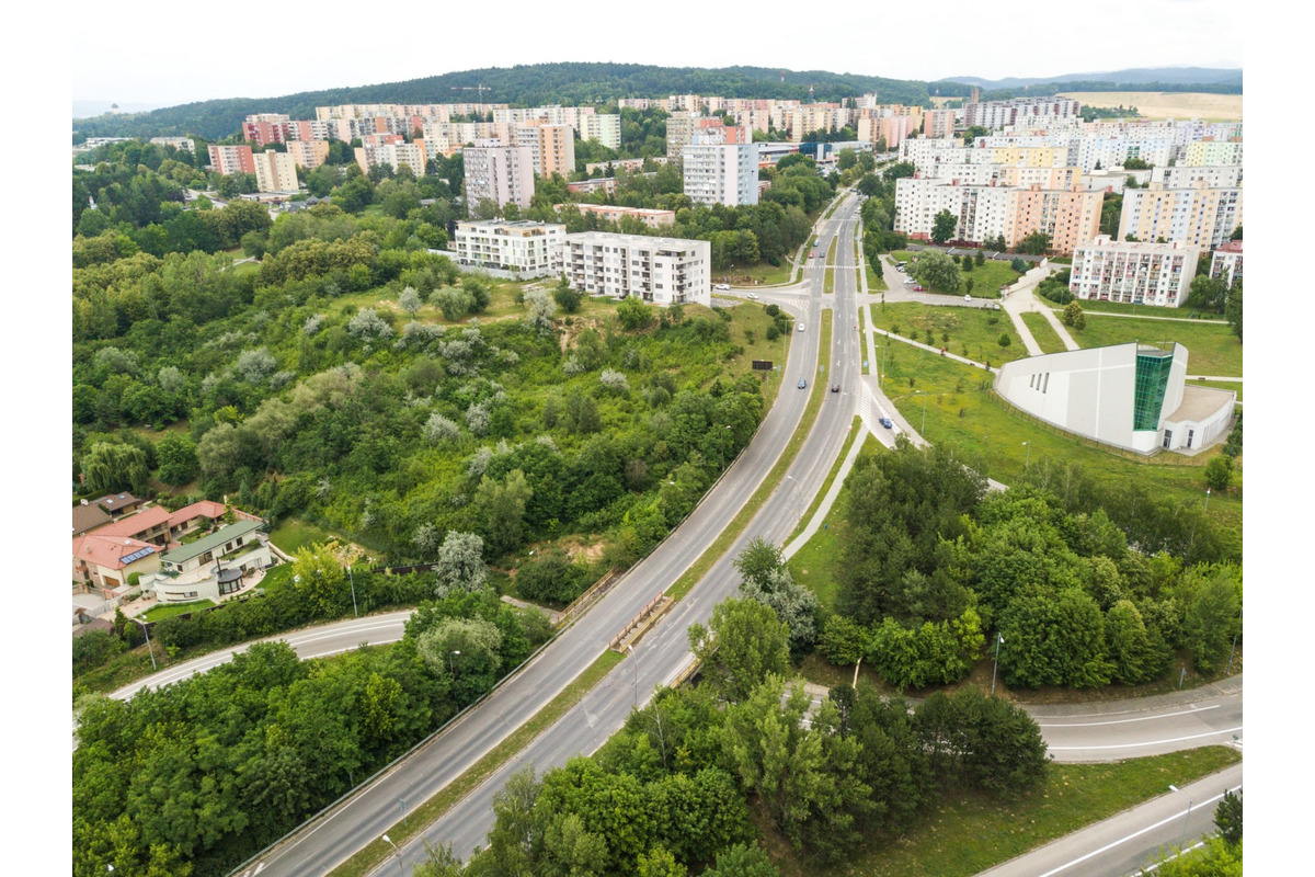 FOTO: Trenčín čaká zásadný výrub stromov pod sídliskom Juh, foto 2