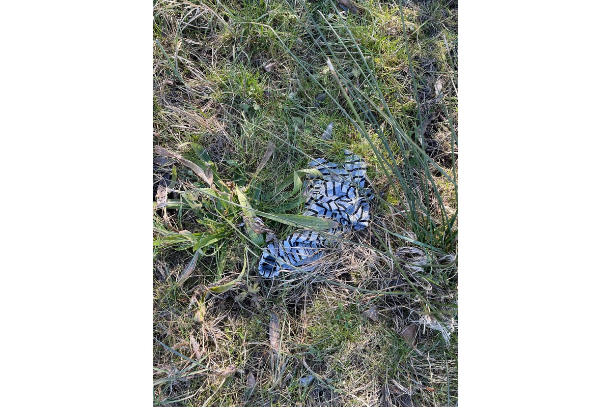 FOTO: Bánovčanka reaguje na nespravodlivú kritiku psíčkarov. Počas prechádzky pri priehrade našla kopu odpadkov, foto 4