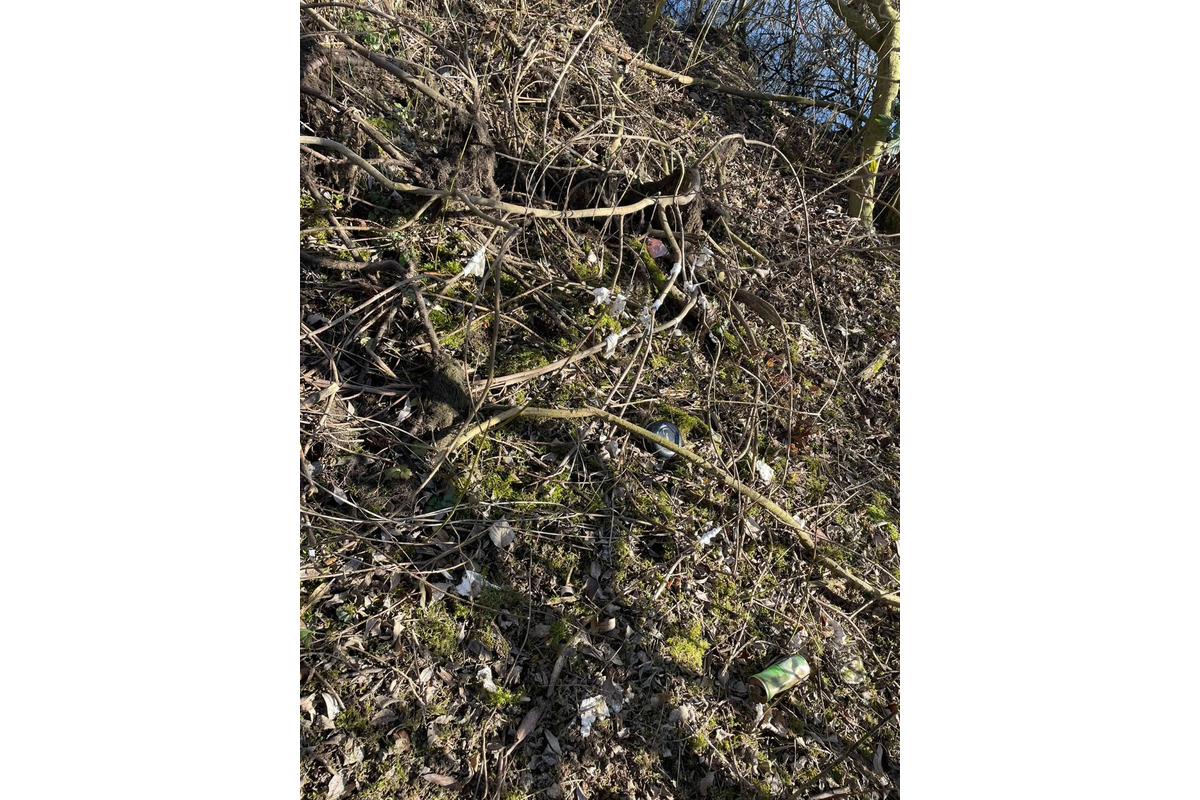 FOTO: Bánovčanka reaguje na nespravodlivú kritiku psíčkarov. Počas prechádzky pri priehrade našla kopu odpadkov, foto 6