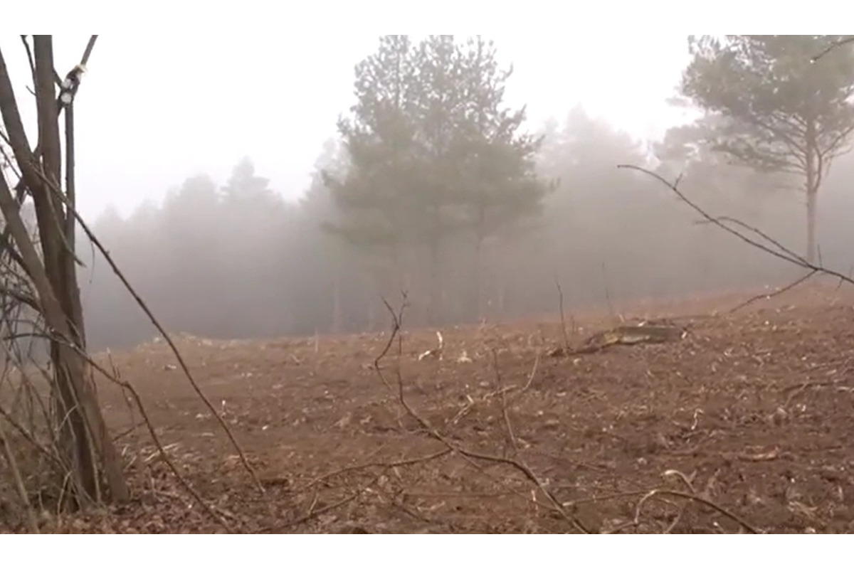 FOTO: Obyvatelia Dubnice nad Váhom zostali po výrube stromov v šoku , foto 1