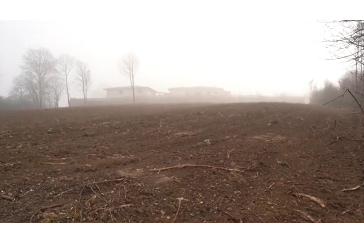 FOTO: Obyvatelia Dubnice nad Váhom zostali po výrube stromov v šoku , foto 3