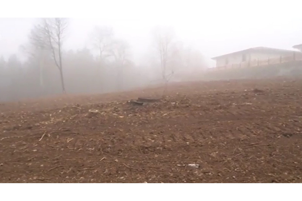 FOTO: Obyvatelia Dubnice nad Váhom zostali po výrube stromov v šoku , foto 4