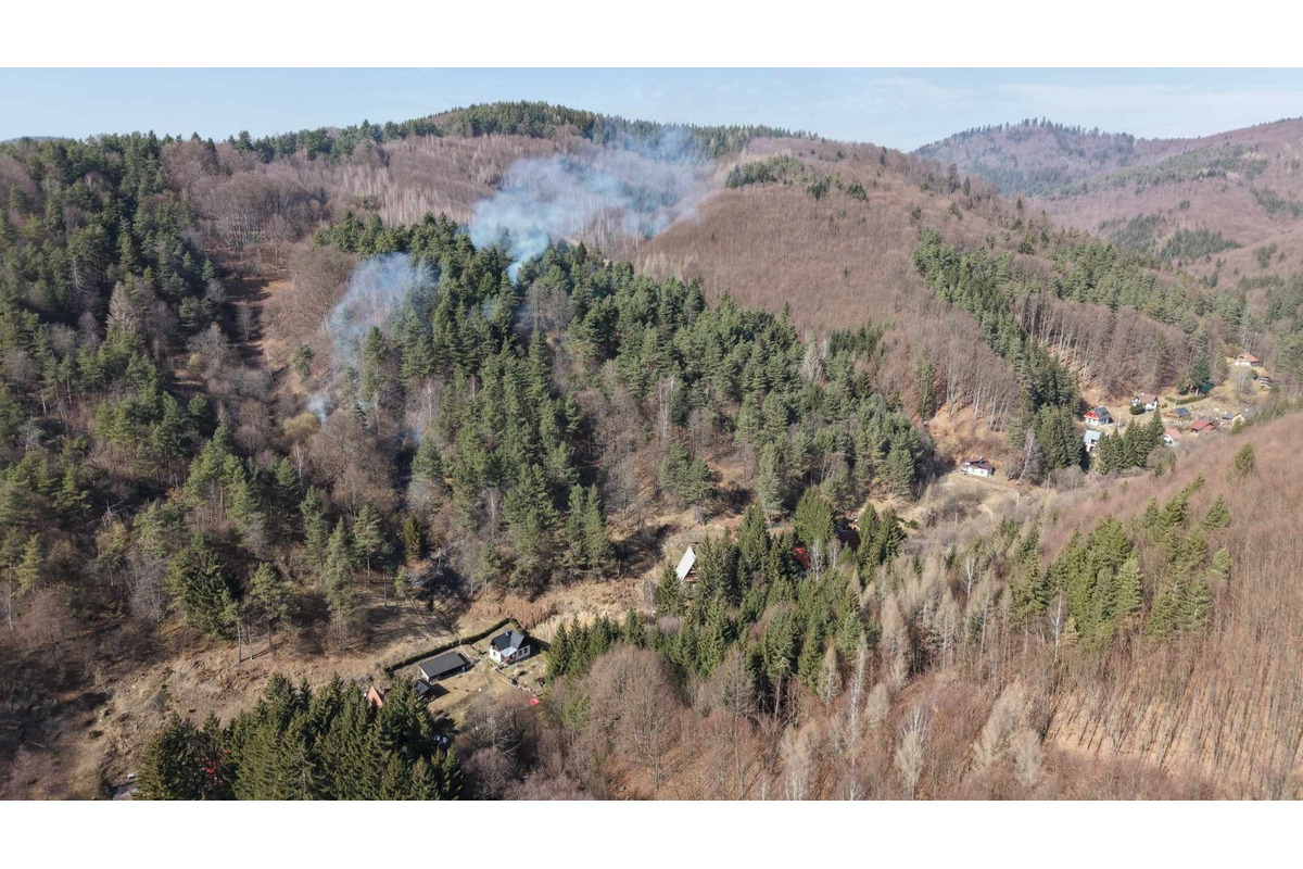 FOTO: V Chvojnici horel v blízkosti chatovej oblasti les, foto 1