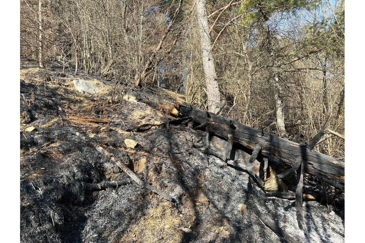 FOTO: V Chvojnici horel v blízkosti chatovej oblasti les, foto 2
